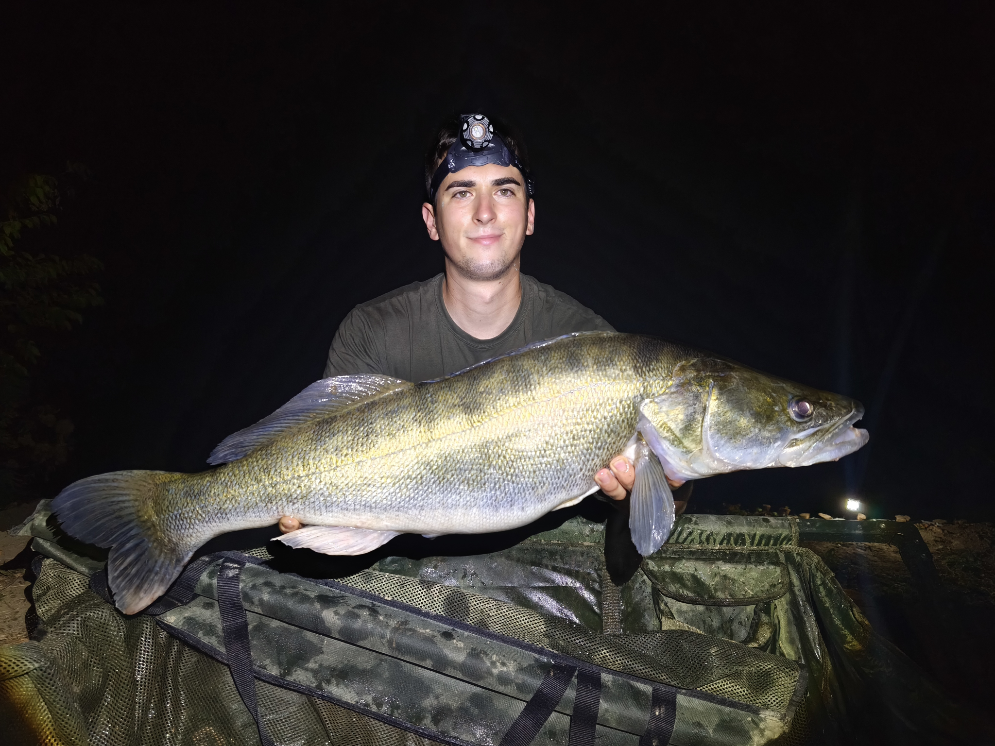 Nagy Rajmund  Süllő  7,50 kg